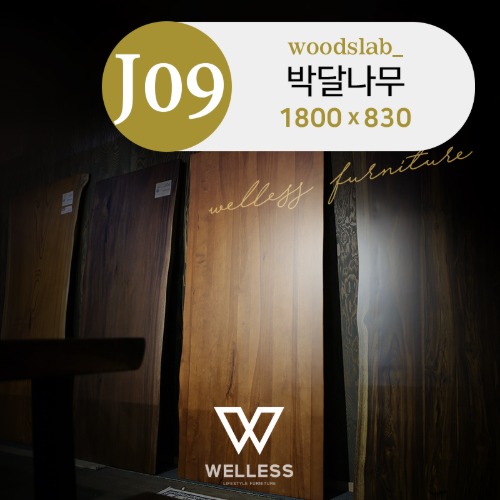 No J09 박달나무 버치 우드슬랩 (솔리드) W1800 - 원목식탁 카페 업소용 회의용